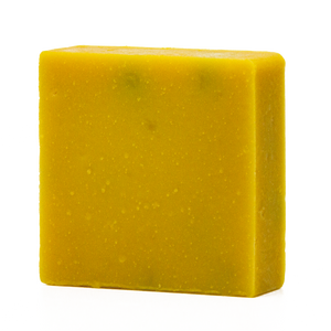Tangy Tangerine - Germs are Stupid Soap